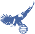 Hawks in Blue Logo